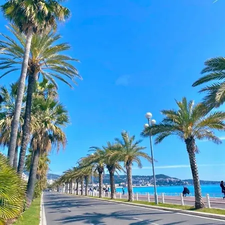 Charmant, Hyper Centre, A 3min Centre Nizza