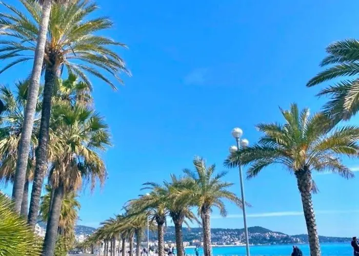 Charmant, Hyper Centre, A 3min Centre Nizza